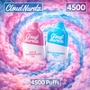 Load image into Gallery viewer, Cloud Nurdz 4500