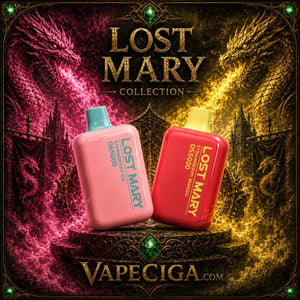 Lost Mary - 1